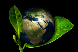 Imagem do Curso Online Meio Ambiente e Sustentabilidade